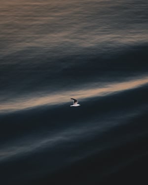aimfor-photography